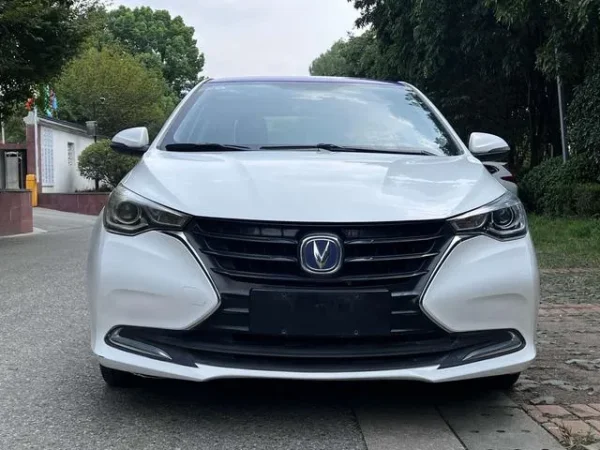 Used 2019 ChangAn Alsvin SAU000111